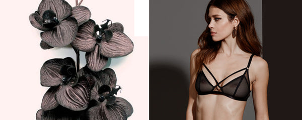 New Collection: Black Orchid